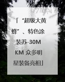 “超级大黄蜂”、特色涂装苏-30MKM 众多明星装备亮相