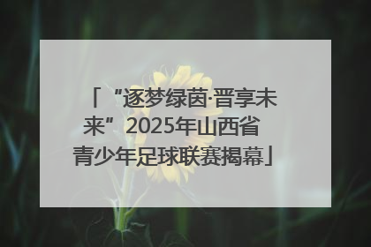 “逐梦绿茵·晋享未来”2025年山西省青少年足球联赛揭幕