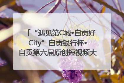 “遇见第C城•自贡好City”自贡银行杯•自贡第六届原创短视频大赛获奖名单出炉｜美好生活有“盐”味