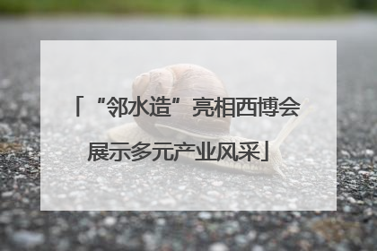 “邻水造”亮相西博会 展示多元产业风采
