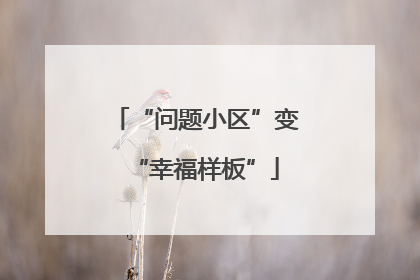 “问题小区”变“幸福样板”