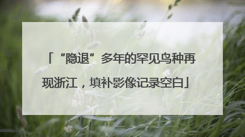 “隐退”多年的罕见鸟种再现浙江，填补影像记录空白
