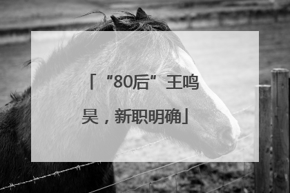 “80后”王鸣昊，新职明确