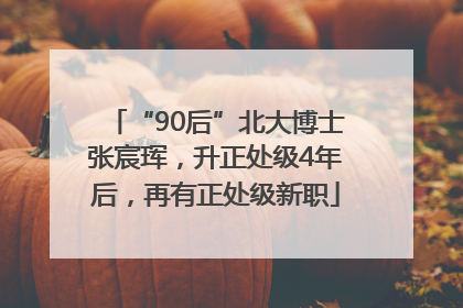 “90后”北大博士张宸珲，升正处级4年后，再有正处级新职