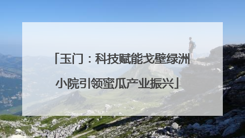 玉门：科技赋能戈壁绿洲 小院引领蜜瓜产业振兴
