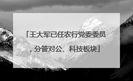 王大军已任农行党委委员，分管对公、科技板块