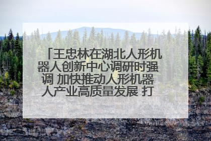 王忠林在湖北人形机器人创新中心调研时强调 加快推动人形机器人产业高质量发展 打造具有全国影响力的研发创新基地