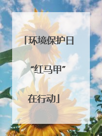 环境保护日 “红马甲”在行动