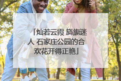灿若云霞 旖旎迷人 石家庄公园的合欢花开得正艳