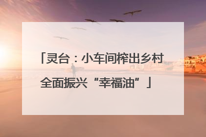 灵台：小车间榨出乡村全面振兴“幸福油”