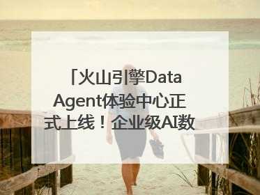 火山引擎Data Agent体验中心正式上线！企业级AI数据专家触手可及
