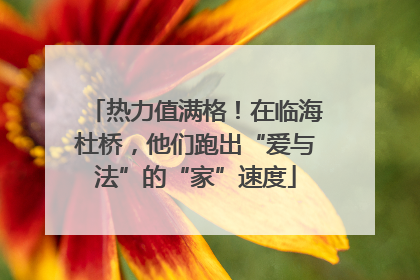 热力值满格！在临海杜桥，他们跑出“爱与法”的“家”速度