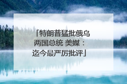 特朗普猛批俄乌两国总统 美媒：迄今最严厉批评