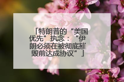 特朗普的“美国优先”执念：“伊朗必须在被彻底摧毁前达成协议”
