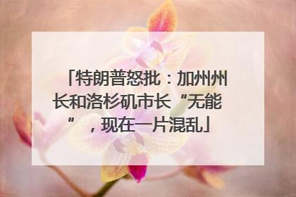 特朗普怒批：加州州长和洛杉矶市长“无能”，现在一片混乱