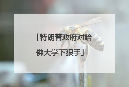 特朗普政府对哈佛大学下狠手