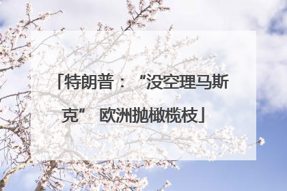 特朗普：“没空理马斯克” 欧洲抛橄榄枝