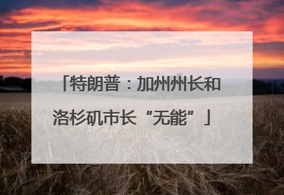 特朗普：加州州长和洛杉矶市长“无能”