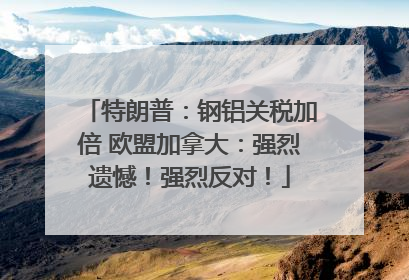 特朗普：钢铝关税加倍 欧盟加拿大：强烈遗憾！强烈反对！