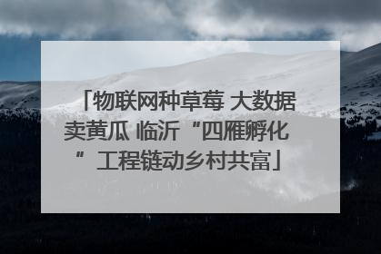 物联网种草莓 大数据卖黄瓜 临沂“四雁孵化”工程链动乡村共富