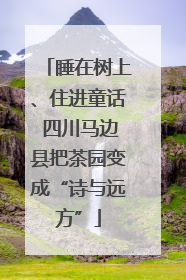 睡在树上、住进童话 四川马边县把茶园变成“诗与远方”