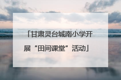 甘肃灵台城南小学开展“田间课堂”活动