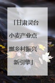 甘肃灵台小麦产业点燃乡村振兴新引擎