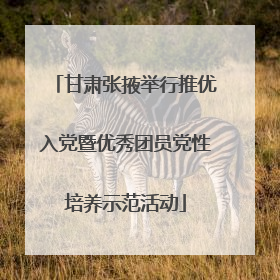 甘肃张掖举行推优入党暨优秀团员党性培养示范活动