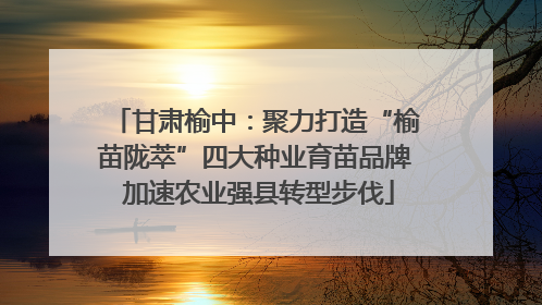甘肃榆中：聚力打造“榆苗陇萃”四大种业育苗品牌 加速农业强县转型步伐
