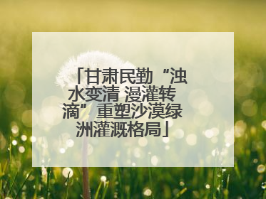 甘肃民勤“浊水变清 漫灌转滴”重塑沙漠绿洲灌溉格局