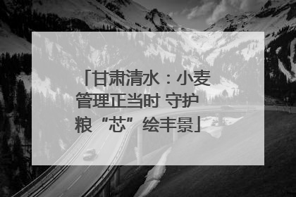 甘肃清水：小麦管理正当时 守护粮“芯”绘丰景