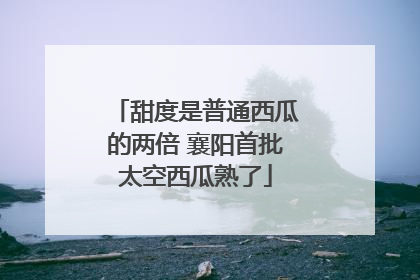甜度是普通西瓜的两倍 襄阳首批太空西瓜熟了