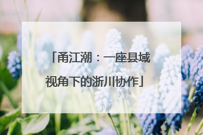 甬江潮：一座县域视角下的浙川协作
