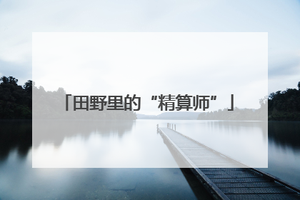 田野里的“精算师”