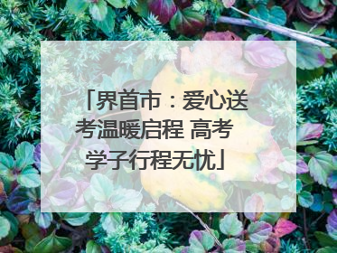 界首市：爱心送考温暖启程 高考学子行程无忧