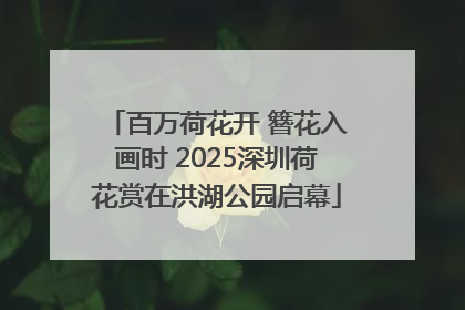 百万荷花开 簪花入画时 2025深圳荷花赏在洪湖公园启幕