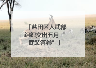 盐田区人武部组织交出五月“武装答卷”