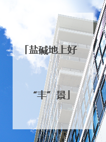 盐碱地上好“丰”景