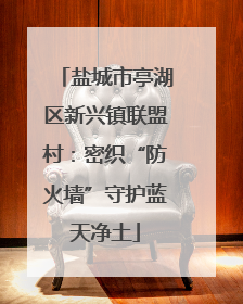 盐城市亭湖区新兴镇联盟村：密织“防火墙”守护蓝天净土