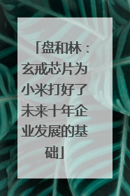 盘和林：玄戒芯片为小米打好了未来十年企业发展的基础