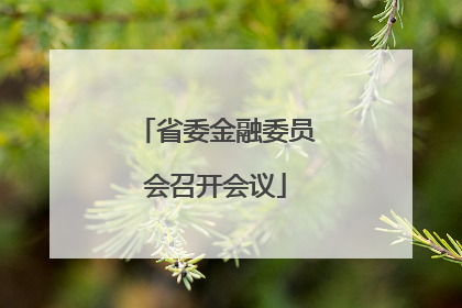 省委金融委员会召开会议