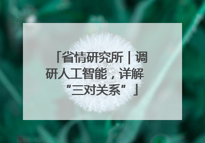 省情研究所｜调研人工智能，详解“三对关系”