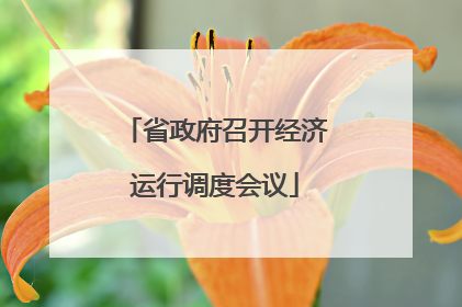 省政府召开经济运行调度会议