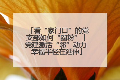 看“家门口”的党支部如何“圈粉”丨党建激活“邻”动力 幸福半径在延伸
