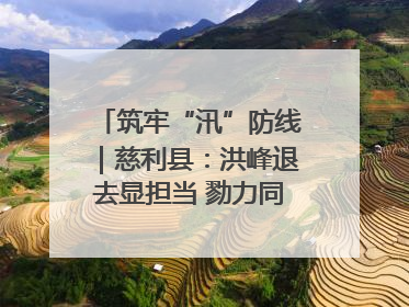 筑牢“汛”防线｜慈利县：洪峰退去显担当 勠力同心启新篇