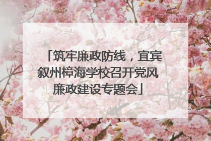 筑牢廉政防线，宜宾叙州樟海学校召开党风廉政建设专题会