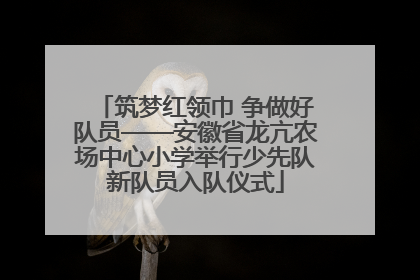 筑梦红领巾 争做好队员——安徽省龙亢农场中心小学举行少先队新队员入队仪式