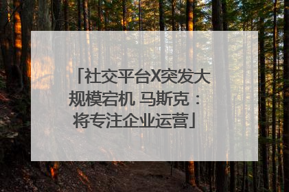 社交平台X突发大规模宕机 马斯克：将专注企业运营