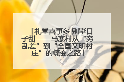 礼堂喜事多 别墅日子甜——马寨村从“穷乱差”到“全国文明村庄”的蝶变之路