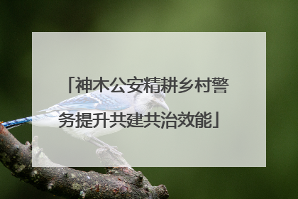 神木公安精耕乡村警务提升共建共治效能